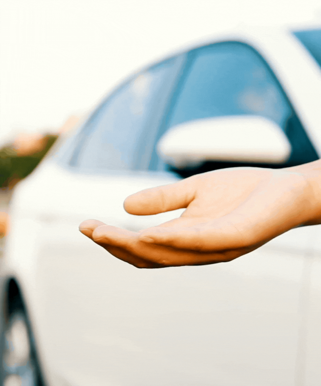 Choose the Right Plan For You - Start Growing Today Banner